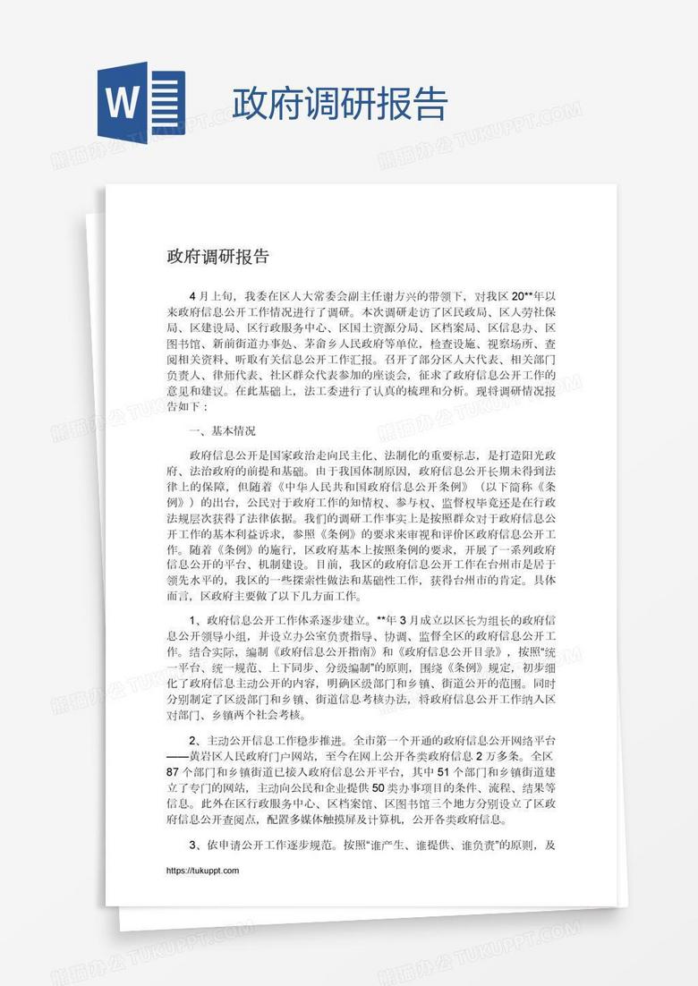 政府调研报告
