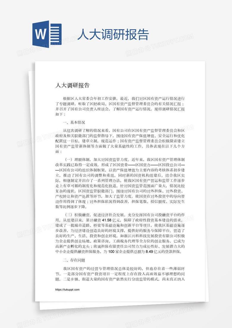 人大调研报告