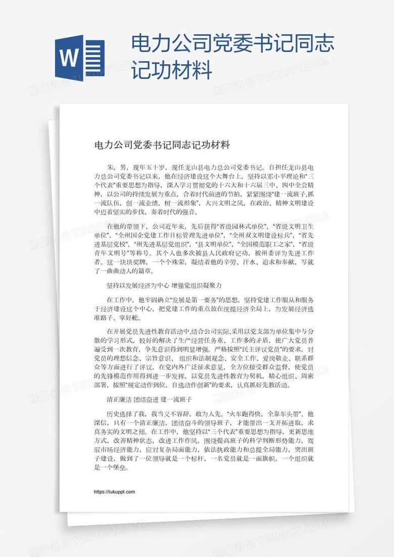 电力公司党委书记同志记功材料