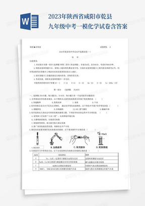 2023年陕西省咸阳市乾县九年级中考一模化学试卷含答案