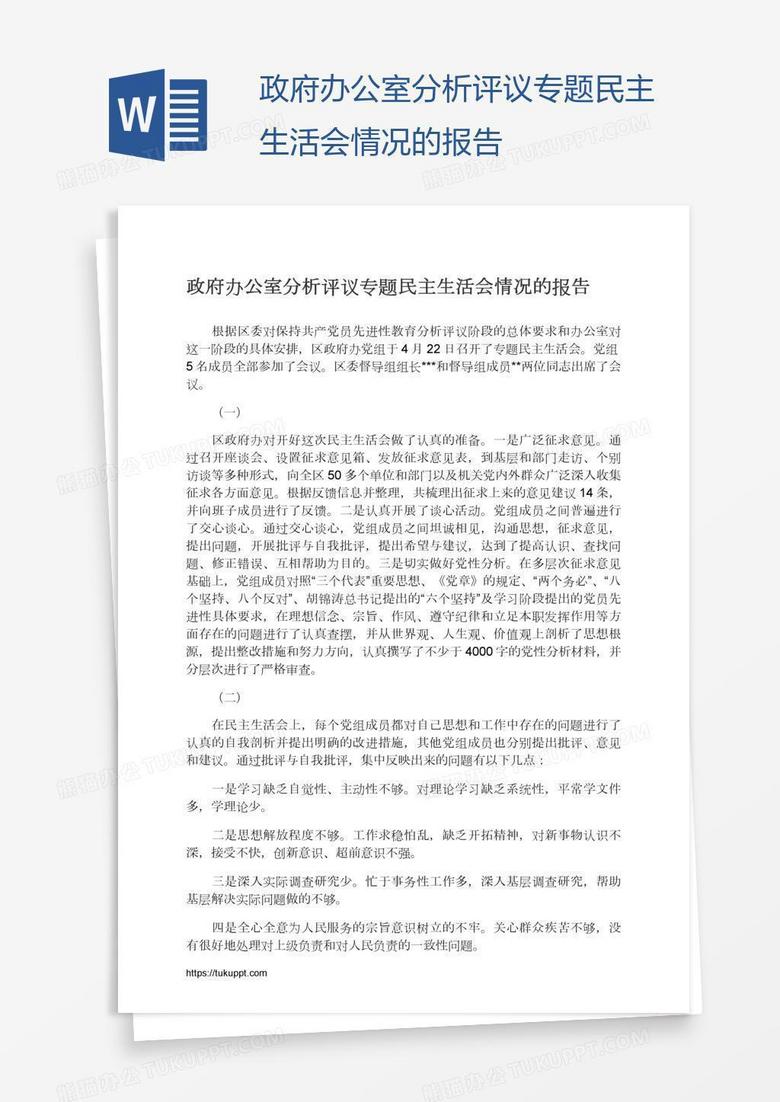 政府办公室分析评议专题民主生活会情况的报告
