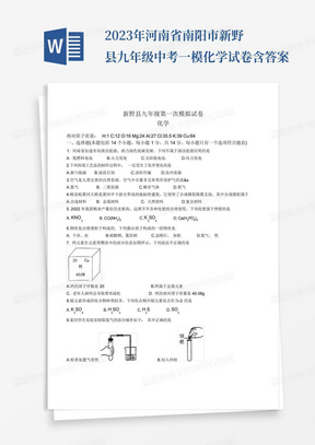 2023年河南省南阳市新野县九年级中考一模化学试卷含答案