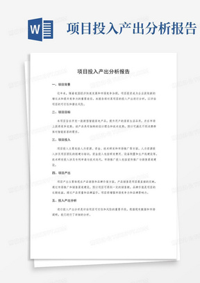 项目投入产出分析报告