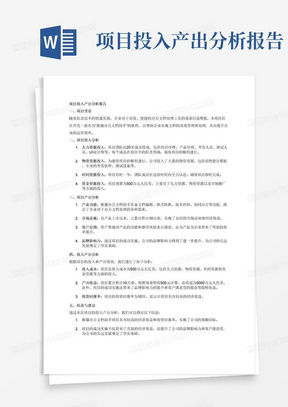 项目投入产出分析报告