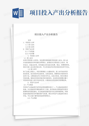 项目投入产出分析报告