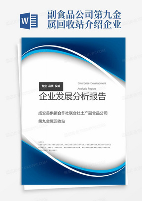 副食品公司第九金属回收站介绍企业发展分析报告模板