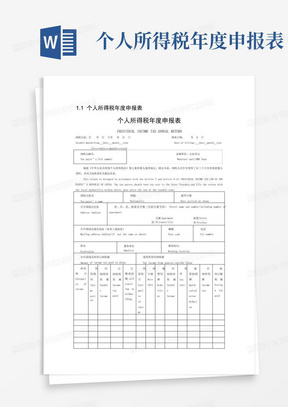 个人所得税年度申报表