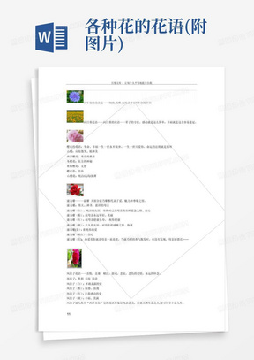各种花的花语(附图片)