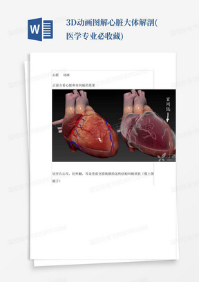 3D动画图解心脏大体解剖(医学专业必收藏)