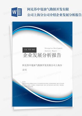 阿克苏中曼油气勘探开发有限公司上海分公司介绍企业发展分析报告_