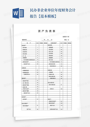 民办非企业单位年度财务会计报告【范本模板】