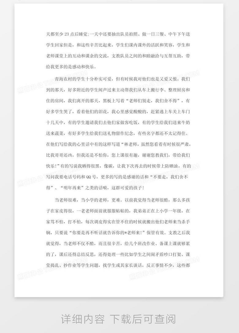 大学生暑假三下乡支教社会实践心得报告word模板下载 熊猫办公