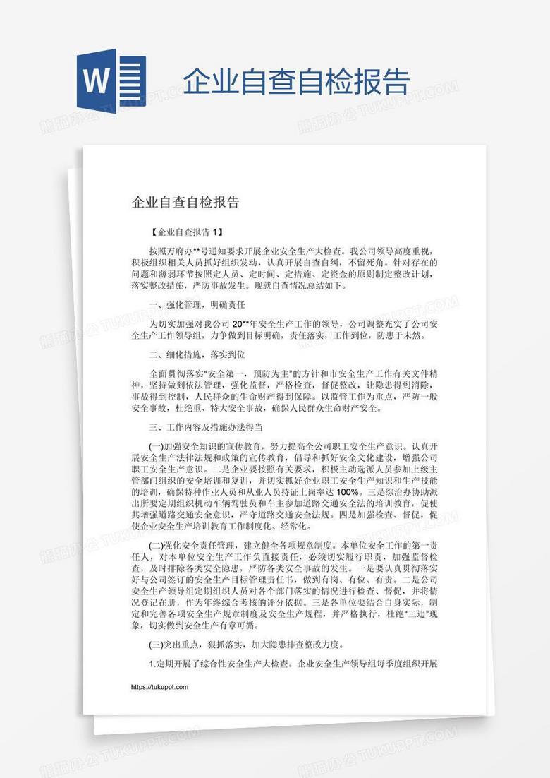 企业自查自检报告
