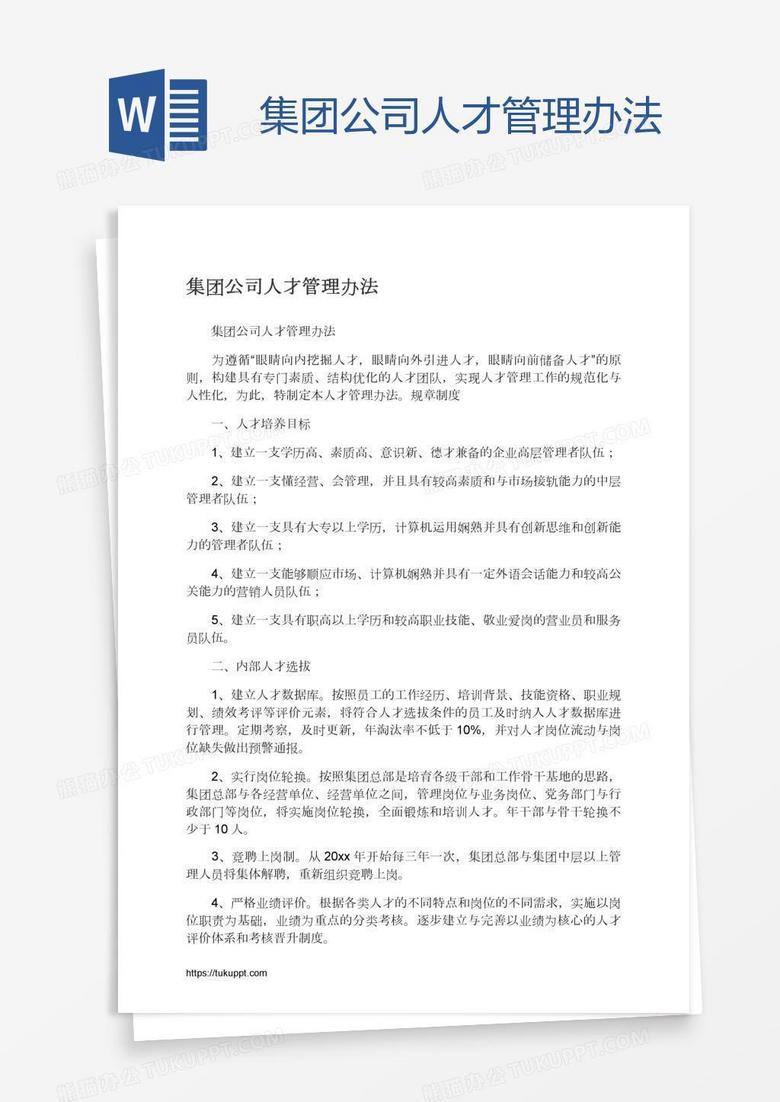 集团公司人才管理办法