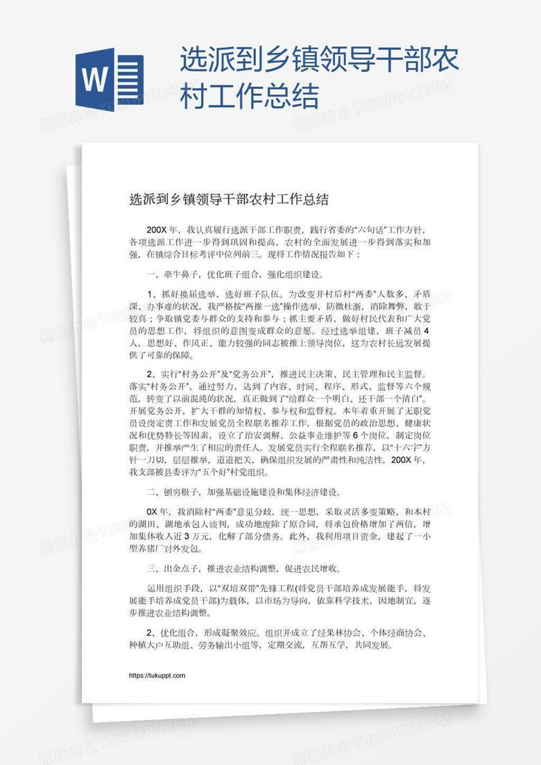 选派到乡镇领导干部农村工作总结
