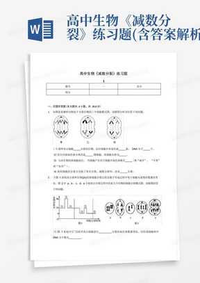 高中生物《减数分裂》练习题(含答案解析)