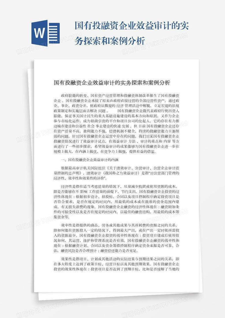国有投融资企业效益审计的实务探索和案例分析