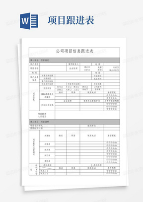 项目信息跟进表(详细版)