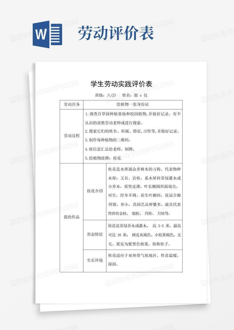 综评劳动与实践校园活动的内容