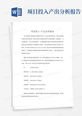 项目投入产出分析报告