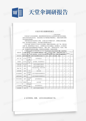 石家庄商圈调查报告