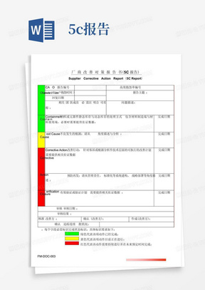 5C报告-格式