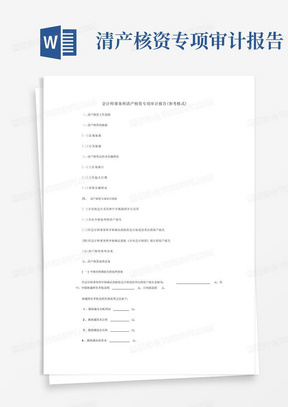 会计师事务所清产核资专项审计报告