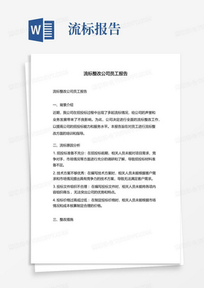 流标整改公司员工报告