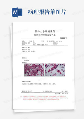 细胞病理学检查报告单