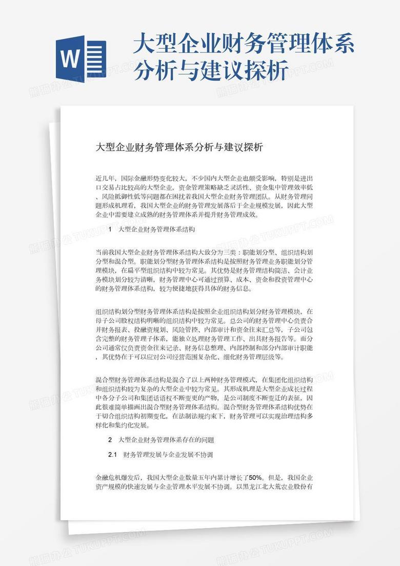 大型企业财务管理体系分析与建议探析