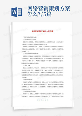 网络营销策划方案怎么写5篇