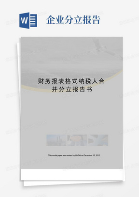 财务报表格式纳税人合并分立报告书