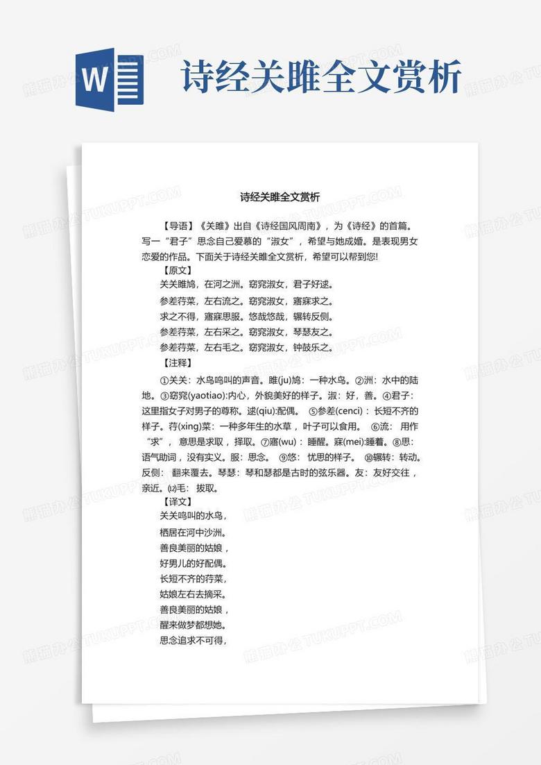 遠的要命的福克蘭群島  我懷念的企鵝的個性  背包客棧