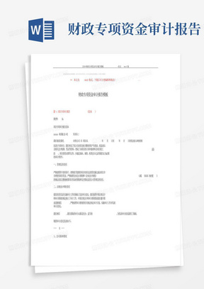 2018-财政专项资金审计报告模板-范文word版(9页)
