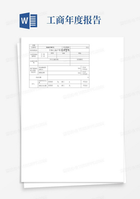 个体工商户年度报表