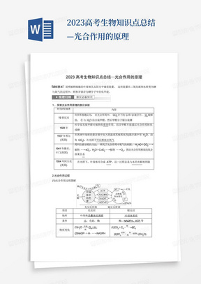 2023高考生物知识点总结—光合作用的原理