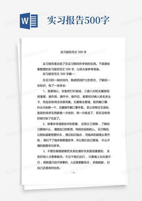 实习报告范文500字