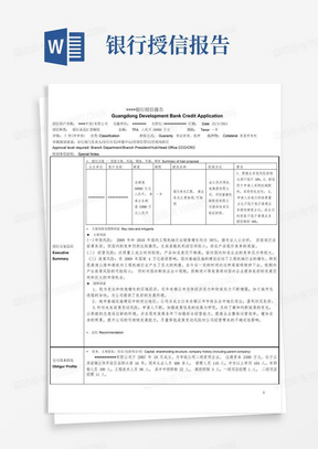 某银行授信报告