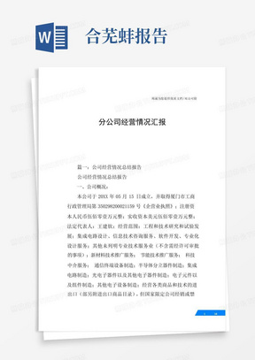 分公司经营情况汇报