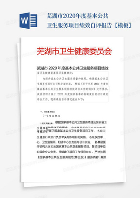 芜湖市2020年度基本公共卫生服务项目绩效自评报告【模板】