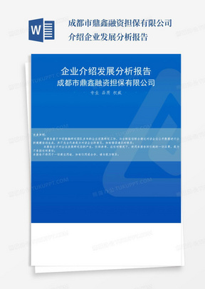 成都市鼎鑫融资担保有限公司介绍企业发展分析报告