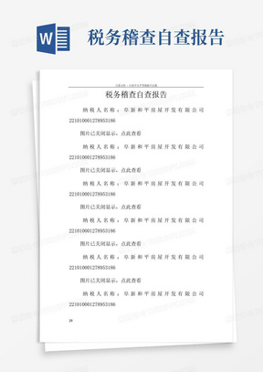 税务稽查自查报告