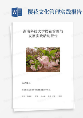 樱花文化管理实践报告