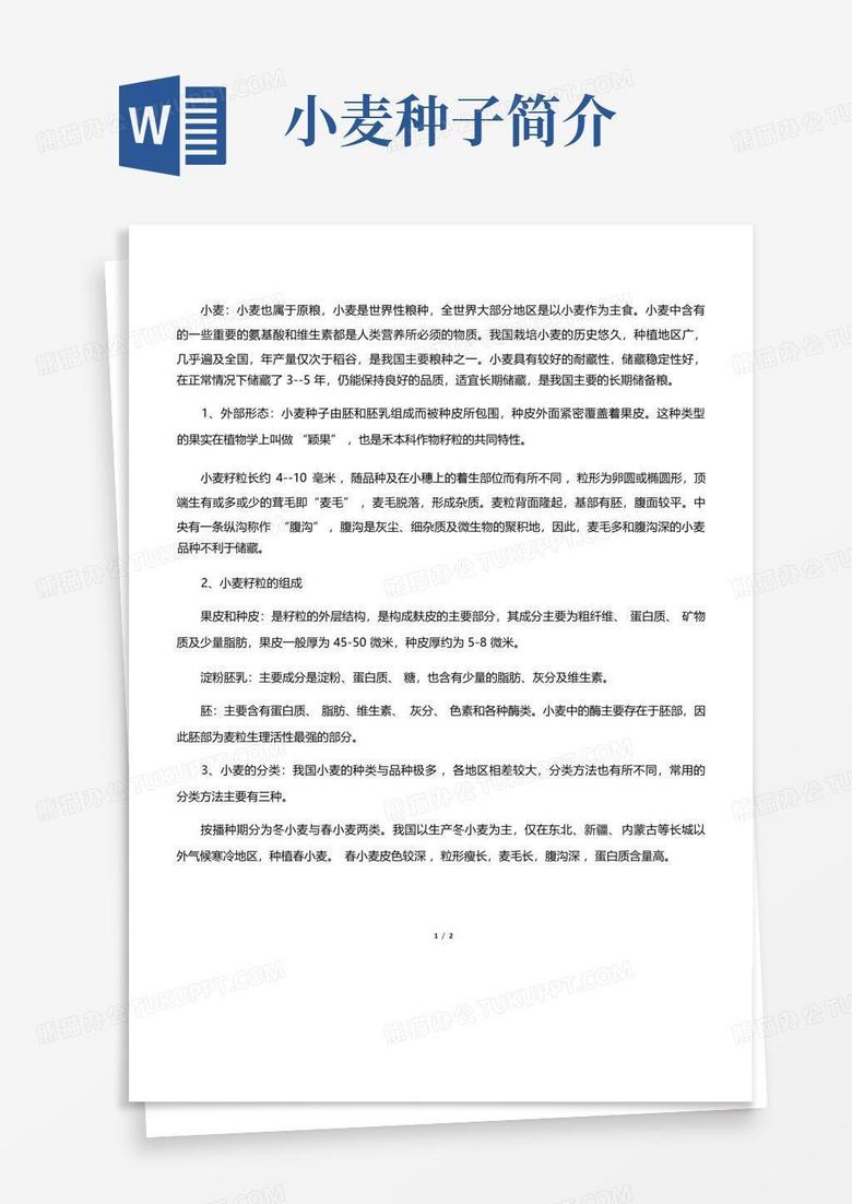 小麦种子简介-Word模板下载_编号lmmdpbvm_熊猫办公