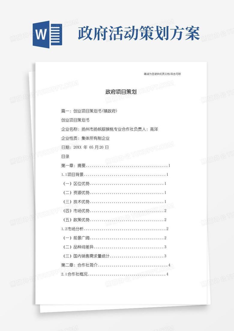 实用的政府项目策划
