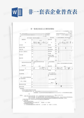 非一套表企业普查表-