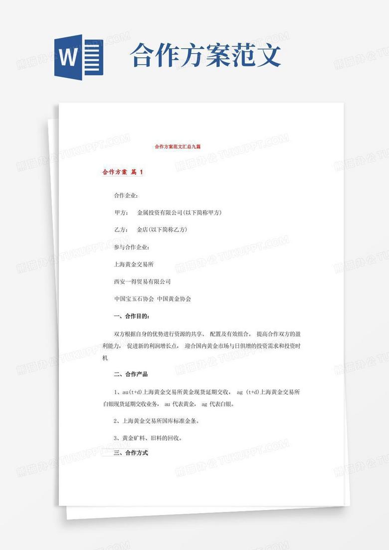 大气版合作方案范文汇总九篇
