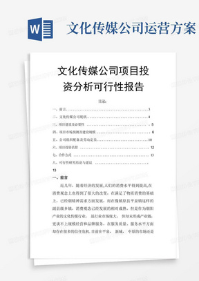 文化传媒公司项目投资分析可行性报告