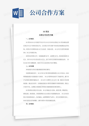 XX项目合资公司合作方案