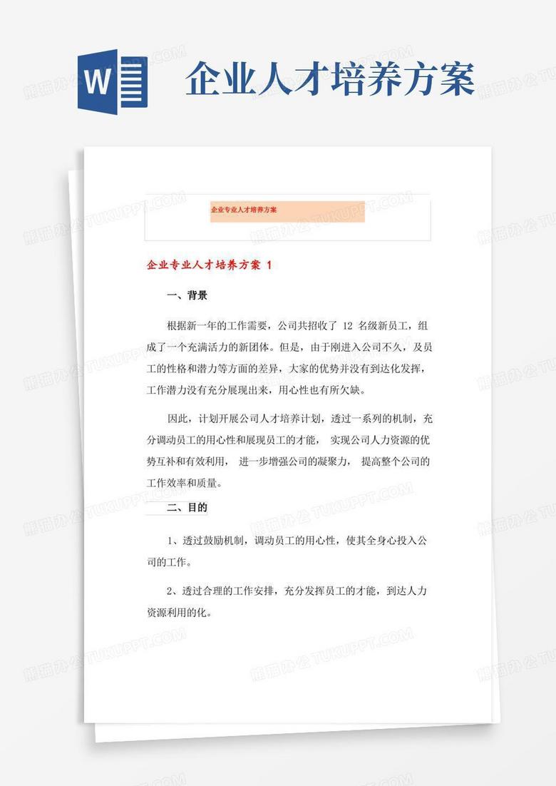 企业专业人才培养方案